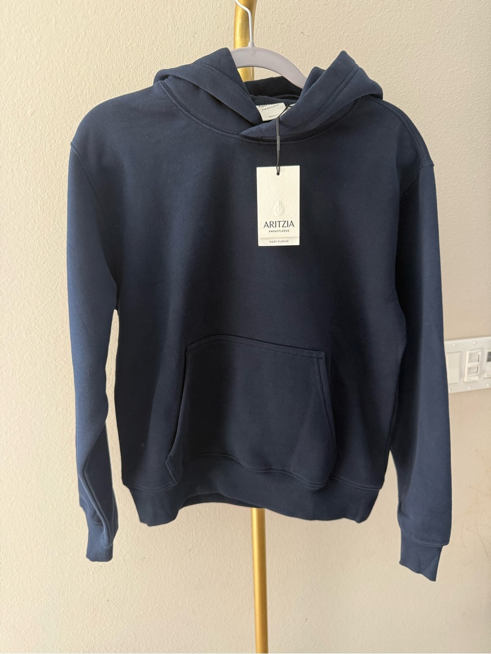Aritzia Cozy Sweatfleece Perfect Hoodie